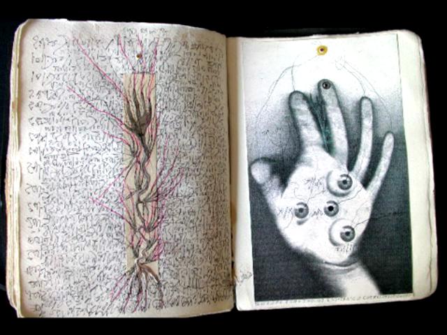 Evru_BookSovist_BirdAfrica.mov6